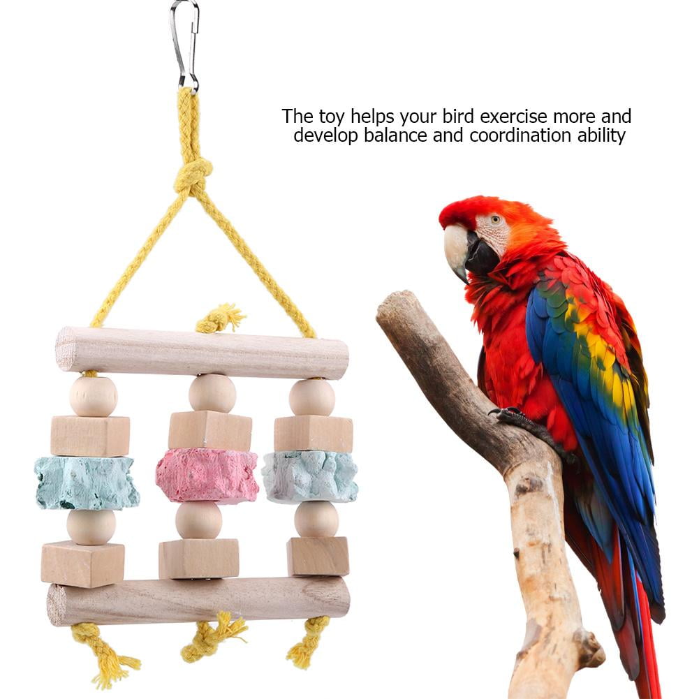 parakeet toys walmart