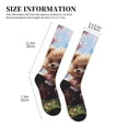 thumbnail image 4 of Sikiie Romantic Floral Bear 1 Pairs Compression Socks for Men and Women 15-20 mmHg Running Support Socks, 4 of 7