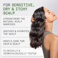 thumbnail image 4 of Nioxin Scalp Relief System Kit, 4 of 6