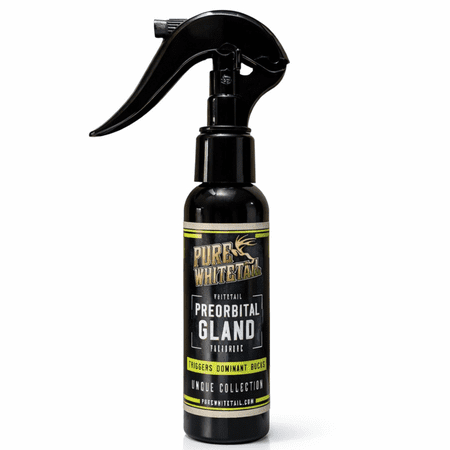 Pure Whitetail Preorbital Gland Scent Deer Forehead Gland Scent Natural Deer Scent Mock Scrape Scent Makes a Licking Stick for Deer 2 oz Bottle