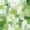 Green Tan, variant on Manfei Boho Mandala Twin Comforter Sets, Hippie Floral Bedding Set, Multicolor White, Gray Reversible 2pcs, 1 Comforter and 1 Pillowcase
