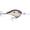Big Shad, variant on Rapala DT 12 Crankbait Pearl Grey Shiner