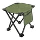 thumbnail image 1 of Taburete plegable portátil para acampar, silla plegable pequeña, resistente y duradero, con bolsillo lateral para senderismo, playa y jardinería., 1 of 9