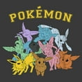 thumbnail image 2 of Boy's Pokemon Eeveelutions Graphic Tee Charcoal Heather Medium, 2 of 5