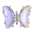 thumbnail image 1 of Fiudx Broca de Uñas con Forma de Mariposa de Cristal, Colores Degradados Holográficos, Fácil Aplicación, Joyería para Uñas, Uso En Salones de Belleza En Casa, Diseño de Uñas Divertido, Materiales Seg, 1 of 2