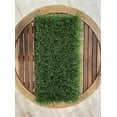 thumbnail image 2 of Bermuda Grass Plug Tray | EZ Plug 50 Grass Plugs Per Tray, 2 of 7