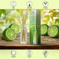 thumbnail image 4 of Lime Reed Diffuser 100ml - Scented Reed Diffuser - Gift Set w/ 10 Bamboo Sticks - Best for Aromatherapy - SPA - Home - Office - Fitness Club, 4 of 8