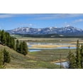 thumbnail image 2 of Galloimages Online 14x11 White Modern Wood Framed Museum Art Print Titled - Hayden Valley (YNP), 2 of 4