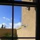 thumbnail image 5 of Vidriera colgante, visera de búho, cadena de metal para pared o ventana, 5 of 6