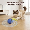 thumbnail image 4 of 2 Pack Interactive Cat Toy Ball,Speedy Tail Toys for Indoor Cats with Feather Tails (Blue-Orange), 4 of 7