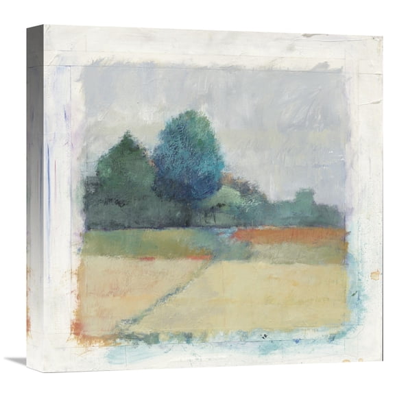 Global Gallery Avery Tillmon 'Path through the Field' Canvas Wall Art