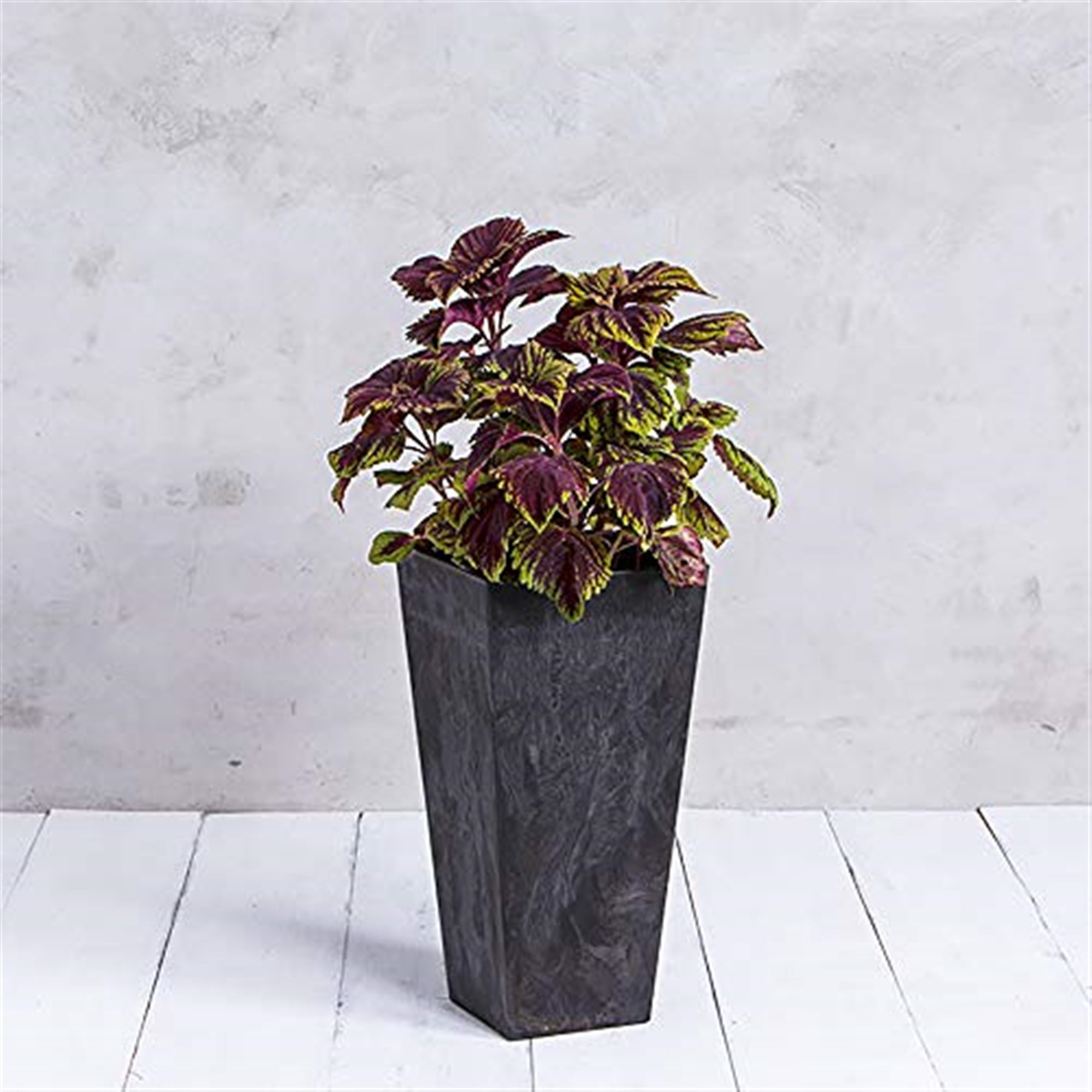 Root & Vessel Ella Tall Planter, Black, 27.5"