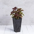 thumbnail image 7 of Root & Vessel Ella Tall Planter, Black, 27.5", 7 of 7