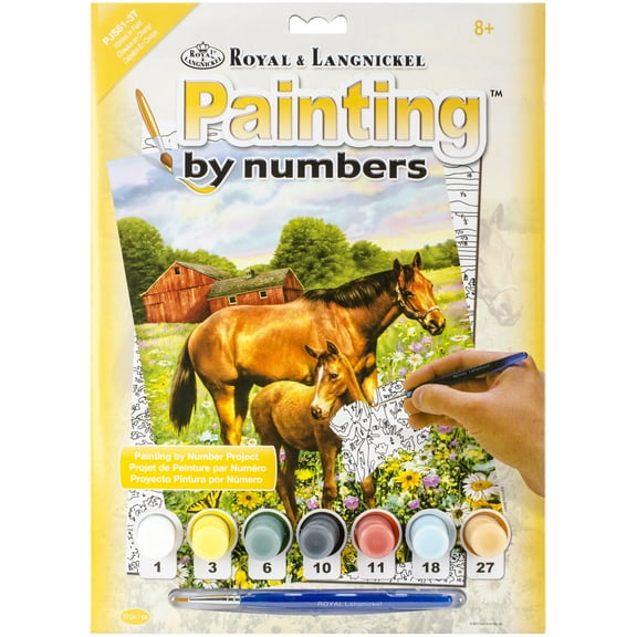 Junior Small Paint By Number Kit 8.75"X11.75" Horse In Field