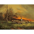 thumbnail image 2 of Pila 32x25 White Modern Wood Framed Museum Art Print Titled - SHEEP SUNSET, 2 of 4