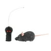 Electric Running Moving Mouse Rat Cat Kitten Interactive Toy
