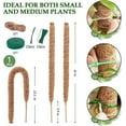 thumbnail image 4 of 2Pack Moss Pole, Bendable Moss Pole for Plants Monstera - 48 Inch Moss Poles for Climbing Plants Monstera, Plant Stakes for Indoor, Handmade Coco Coir Monstera Plant Support for Plants Grow Upward, 4 of 8