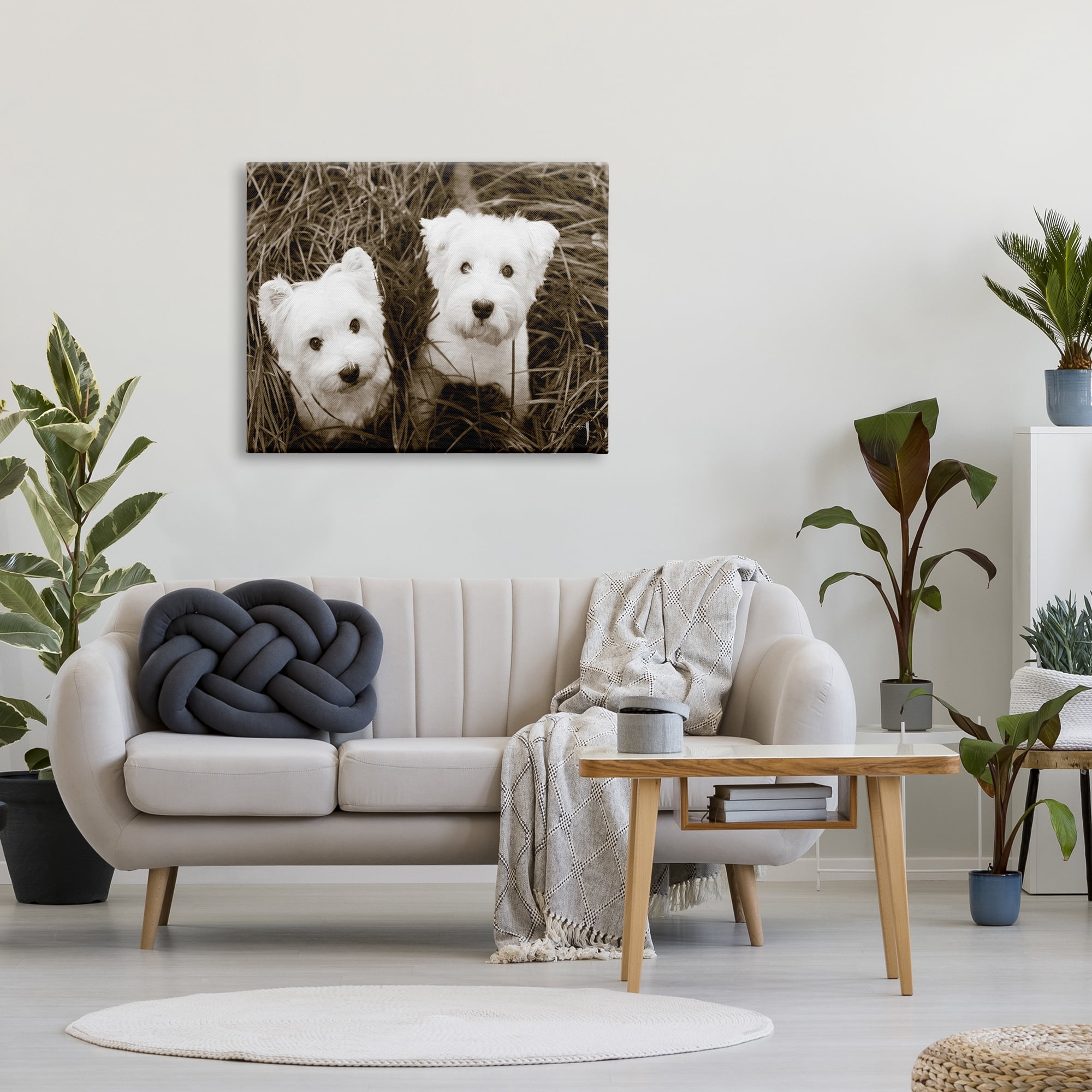 Stupell Industries White Terrier Puppies Animals & Insects Photography Gallery Wrapped Canvas Print Wall Art, 40 x 30