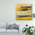thumbnail image 3 of Trademark Fine Art 'Paradise Island II' Canvas Art by Joyce Combs, 3 of 4