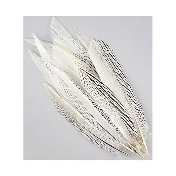 Zucker Feather Products Silver Pheasant Tail Feathers - 12-16" - 12 pcs - Natural