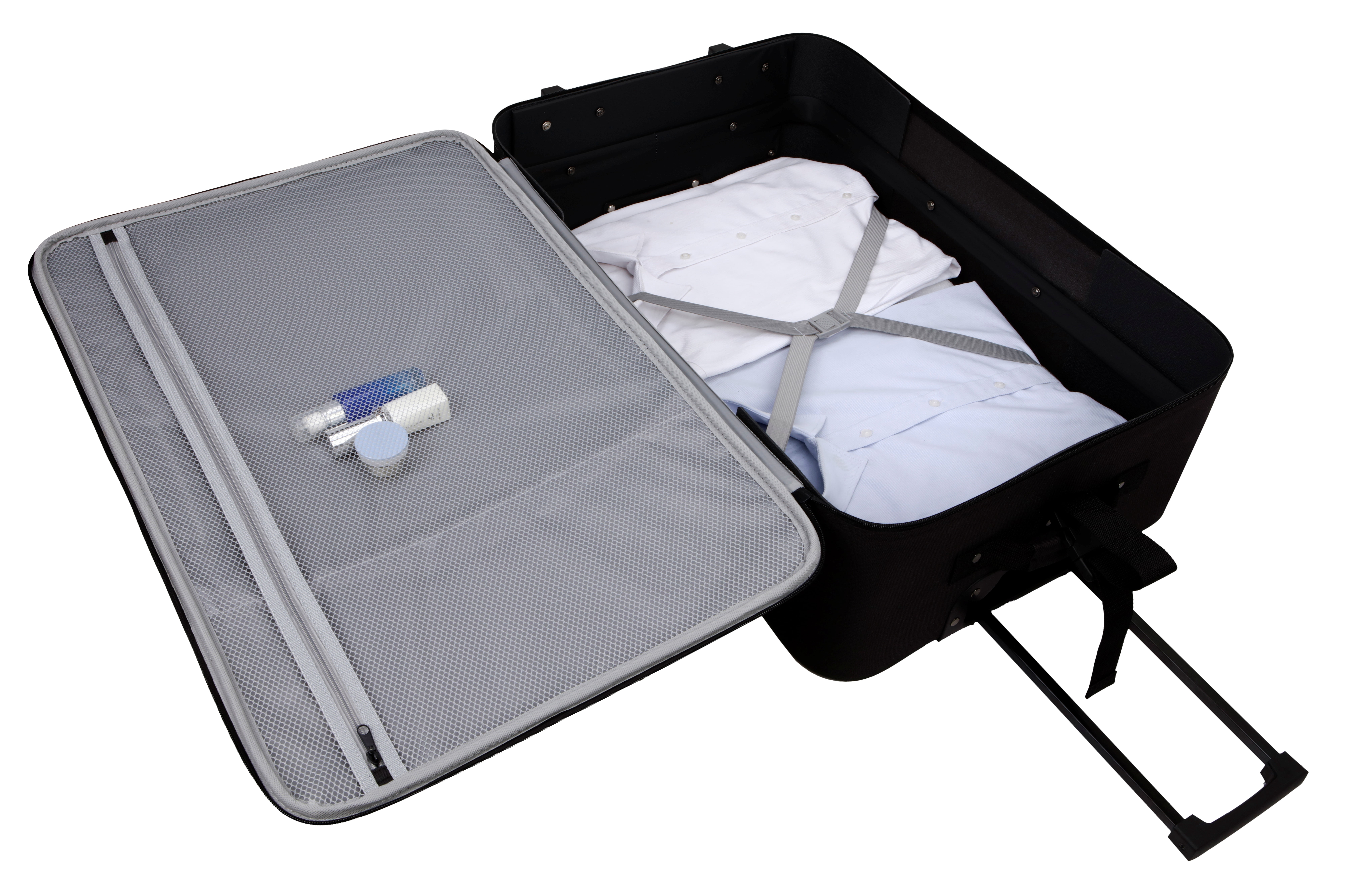 Protege 5 Piece 2-Wheel Luggage Set, Check and Carry On Size