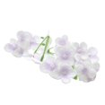 thumbnail image 4 of 20 piezas de cabezas artificiales Boda DIY Decoración de playa - Multicolor, se describe Púrpura claro yotijar Pétalos de flores artificiales, 4 of 8
