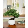 thumbnail image 5 of GnFlus 9.8"Artificial Bonsai Tree White Ceramic Pot Office Desk Table Home Decor, 5 of 6