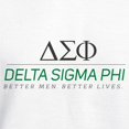 thumbnail image 3 of CafePress - Delta Sigma Phi Color Stacked Logo Sweatshirt - Pullover Hoodie, Hooded Sweatshirt, 3 of 4