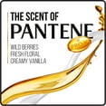 thumbnail image 3 of Pantene Pro-V Shampoo, Daily Moisture Renewal, 38.2 Fl Oz, 3 of 4