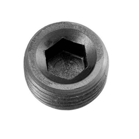 0.25' Black Pipe - Redhorse 932042 -04 0.25 In. Npt Hex Head Pipe Plug - Black