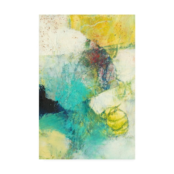 Trademark Fine Art 'Underlying II' Canvas Art by Sue Jachimiec