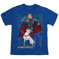 thumbnail image 2 of Dc League Of Super Pets Super And Krypto Kids T Shirt (X-Large) for Youth Toddler Boys and Girls, Royal Blue, 2 of 5