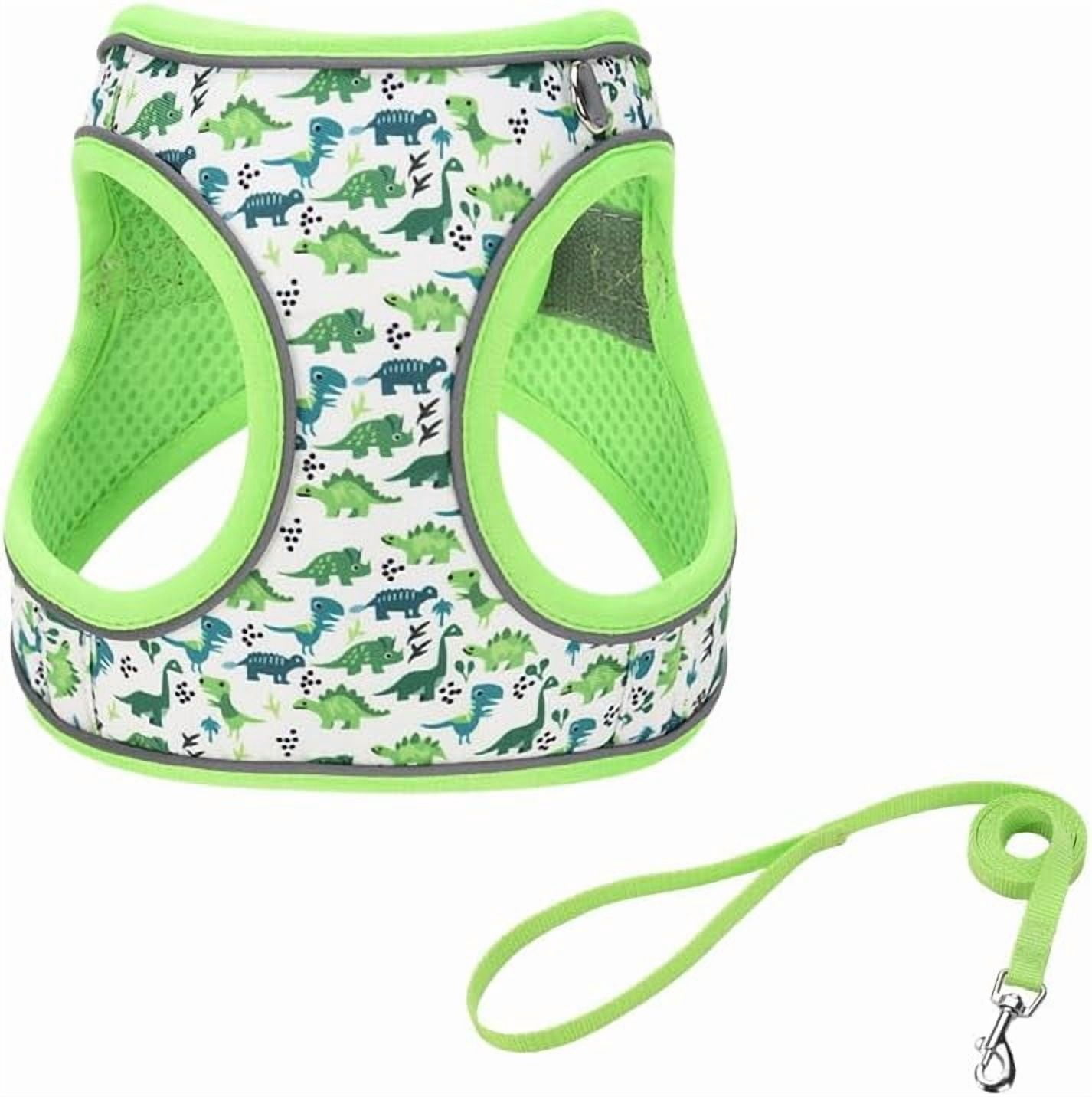 XS Light Purple Flower Pattern Dog Harness and Leash Set,No Escape Puppy Harnesses for Training Walking，Breathable Adjustable Puppy Vest for Small Medium Dogs, Cats (Light Purple, XS)