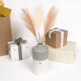 thumbnail image 4 of Heart - 7" Vase with Pampas Grass, 4 of 9