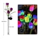 thumbnail image 2 of Solar Outdoor Tulip Flower Lights 2pcs LED Lawn Lamps, 2 of 5