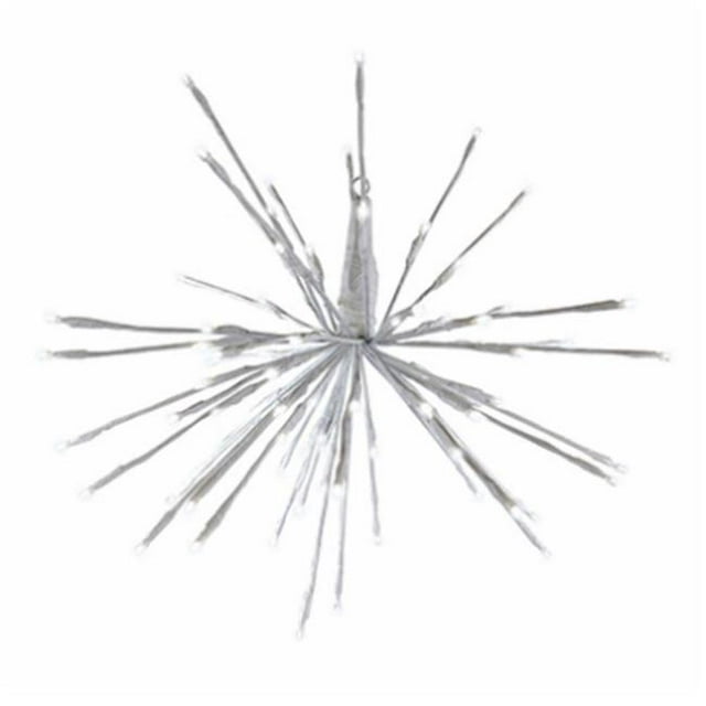Holiday Bright Lights 274665 Radiant Blast&44; Blanc Pur