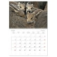 thumbnail image 5 of Pig stuff - the wild boars are on the loose (Monthly Wall Calendar 2026 11.7 x 16.5 (open)), CALVENDO 14 Month Calendar, 5 of 9