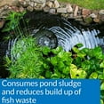 thumbnail image 3 of API Pond Simply-Clear with Barley Quickly Cleans and Clears Ponds, 3 of 5