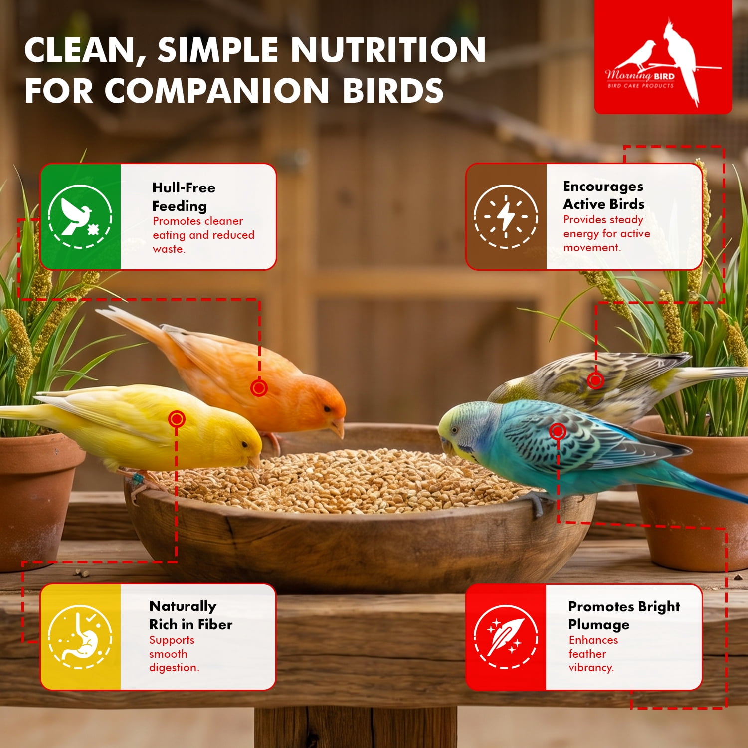 Morning Bird Hulled Millet 18 lbs (2-Pack, 9 lbs Each) – Bird Food for Parakeets, Finches & Canaries – Easy-to-Digest Millet Seed for Daily Nuupplements for Birds, Ideal Bird Feed for All Bird Types,