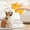 B, variant on Dog Toy Animals with Gnawing Sound, QQZ Durable Pig Shape Chew Toy for Pets, Interactive Squeaky Pet Toys for Dogs Puppies Indoor Outdoor Play