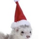 thumbnail image 2 of Methold Mascotas conejos liebre cerdo hurón gorro de Navidad divertido disfraz hámster silenciador ropa otoño vestir accesorios de maquillaje Memoriales de mascotas Methold PT004583-01, 2 of 6