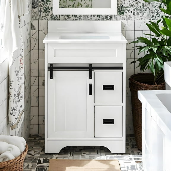 VISWILD 24" Bathroom Vanity with Sink, Sliding Barn Door and 2 Drawers, for Apartment, Adult, Teen, White