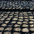 thumbnail image 4 of 100 Pcs/set Plastic Plants Nursery Pot  Pots Seedlings Flower Plant Container Seed Starting Pots  Practical Soft Plant Nutrition Pots, 4 of 5