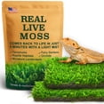 thumbnail image 1 of Terrarium Moss LUCKY PLANT Live Moss para reptiles, 50 cm², 1 of 9
