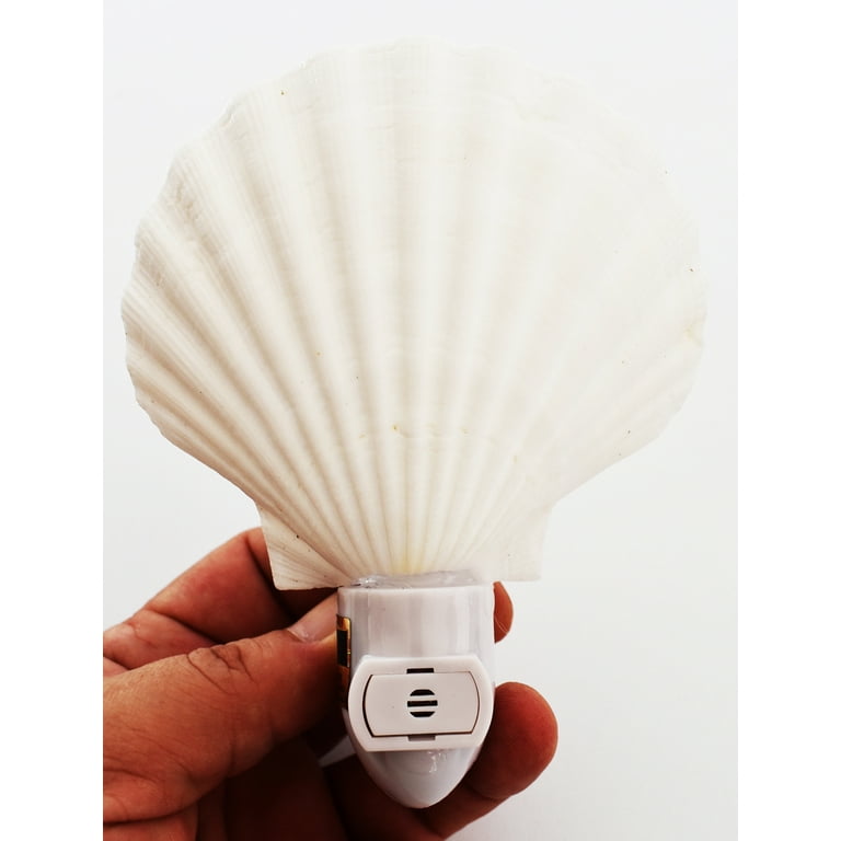 Real Seashell Night Light, White Scallop Shell, Coastal Beach