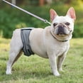 thumbnail image 3 of Couches Enveloppantes Lavables pour Chiens Mâles Bande Ventrale Réutilisable pour Chien Mâle Bande Respirante pour Chien Mâle,, 3 of 8