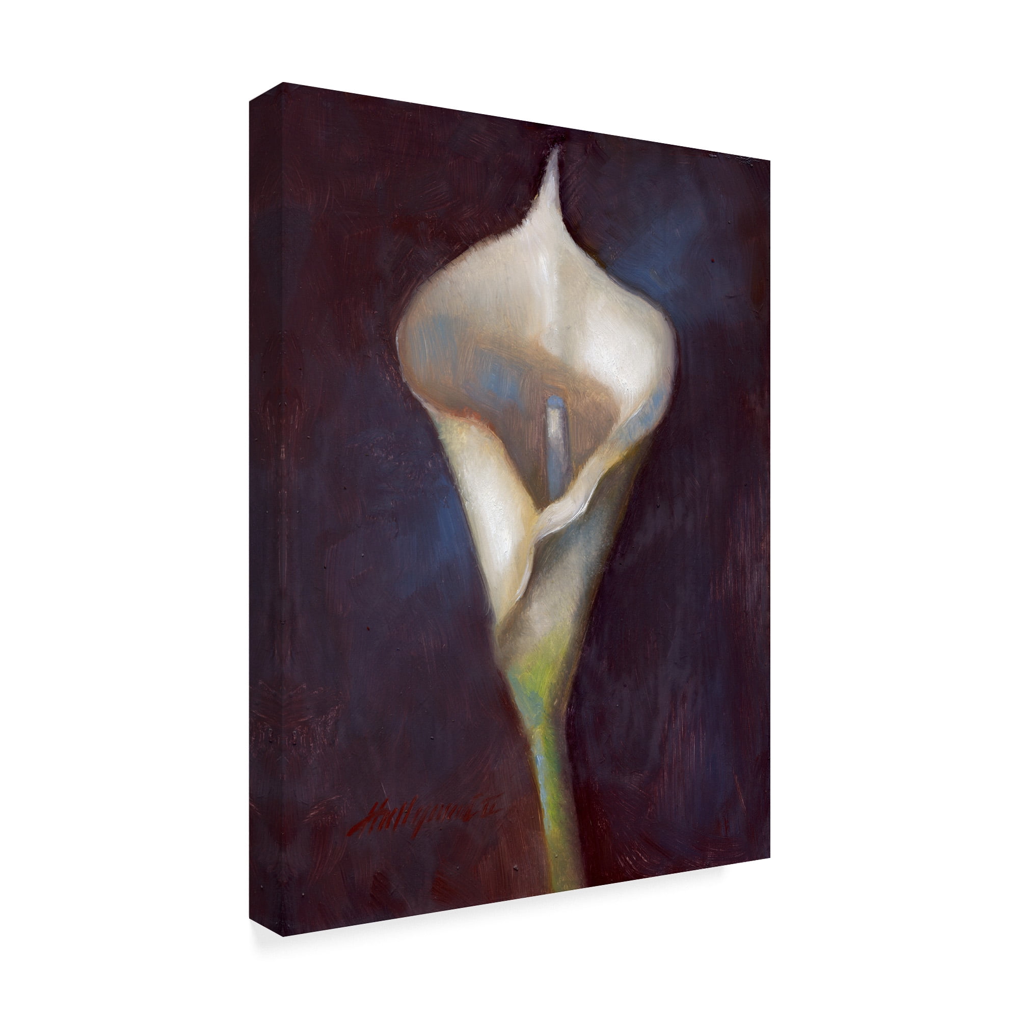 Trademark Fine Art Floral Canvas Art ' Calla Lily White ' by Hall Groat Ii