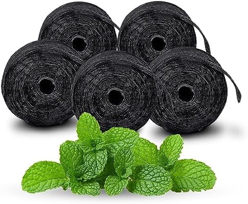 Expandable Dental Floss Treated with Activated Charcoal, Xylitol, Natural Plant Based Wax, Refreshing Mint Flavor - Pack of 5 (Refills Only)