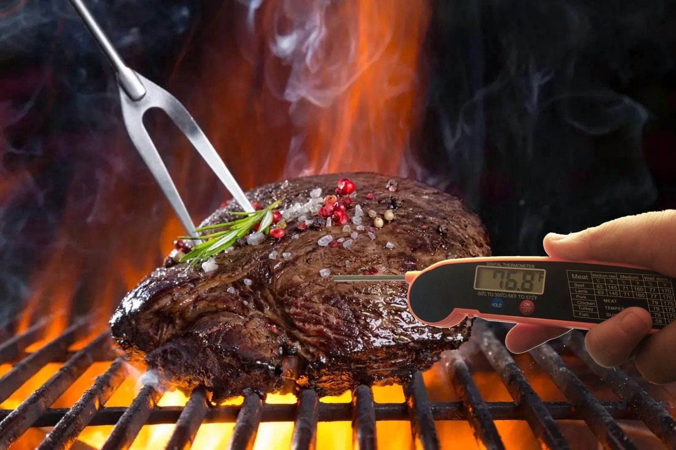 LAATIKUI Meat thermometer food grill measurement waterproof probe thermometer