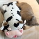 thumbnail image 2 of Almohada de peluche de vaca Whlo4U, 50 cm, suave peluche, 2 of 8